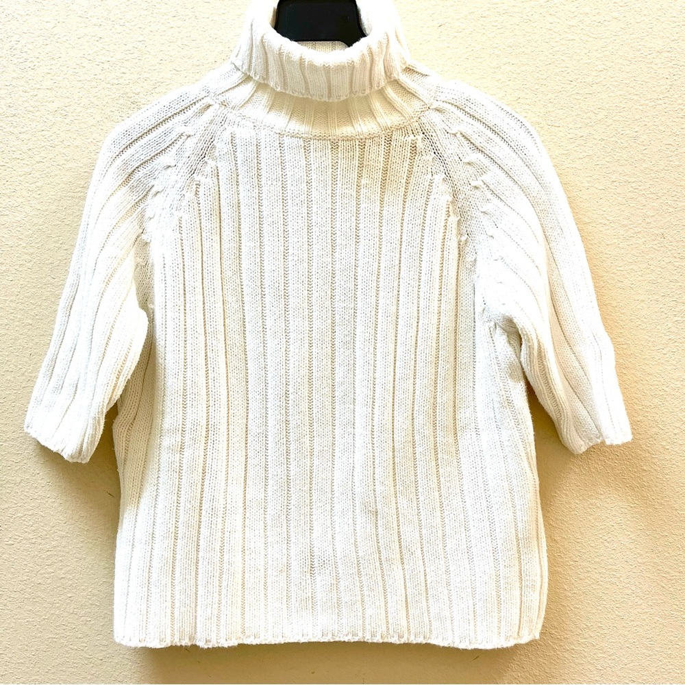 Valerie Stevens Turtle Neck Sweater